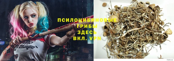 apvp Абаза