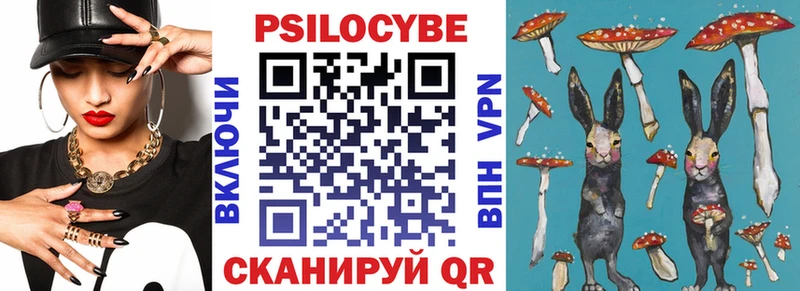дарнет шоп  Никольское  Галлюциногенные грибы Psilocybe 